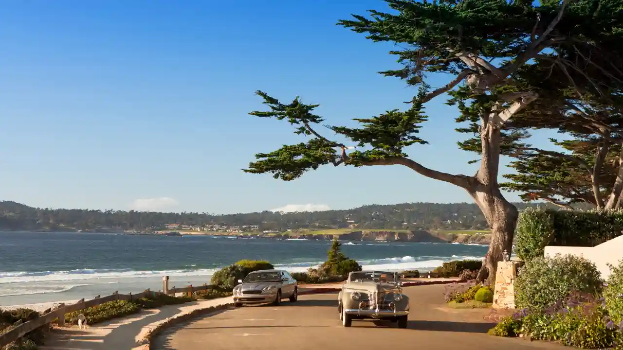 Carmel-by-the-Sea, with its fairytale-like cottages, pristine beaches, and artistic charm, enchants visitors with its idyllic coastal ambiance. Explore hidden pathways, browse art galleries, and savor gourmet dining experiences in this quaint seaside town nestled along California's picturesque Central Coast.