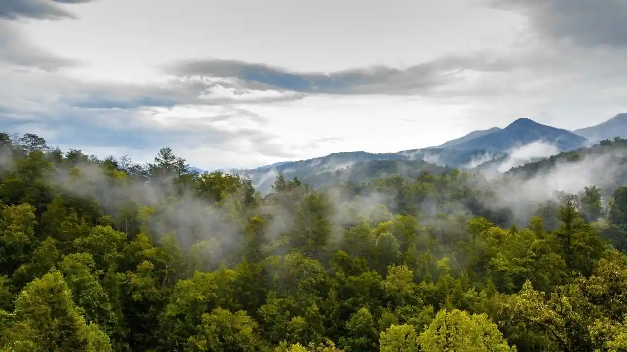Great Smoky Mountains, Tennessee/North Carolina - Best East Coast Vacations for Families