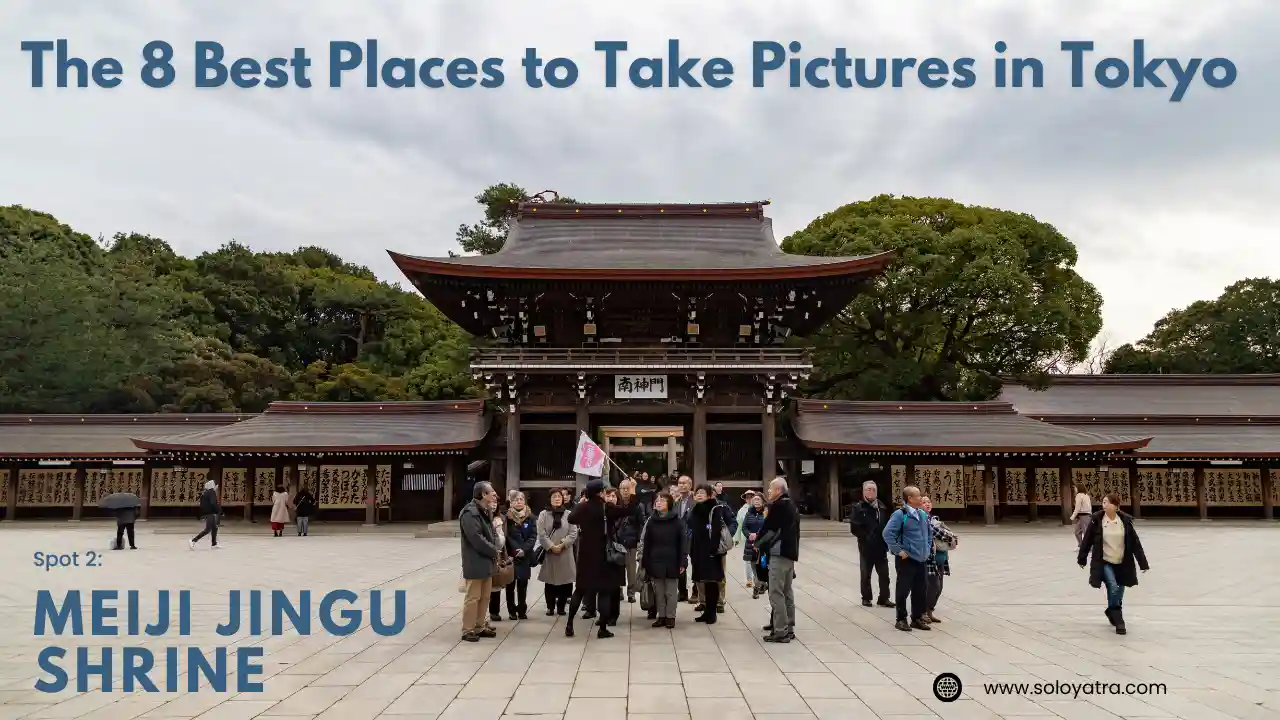 Meiji Jingu Shrine - The 8 Best Places to Take Pictures in Tokyo