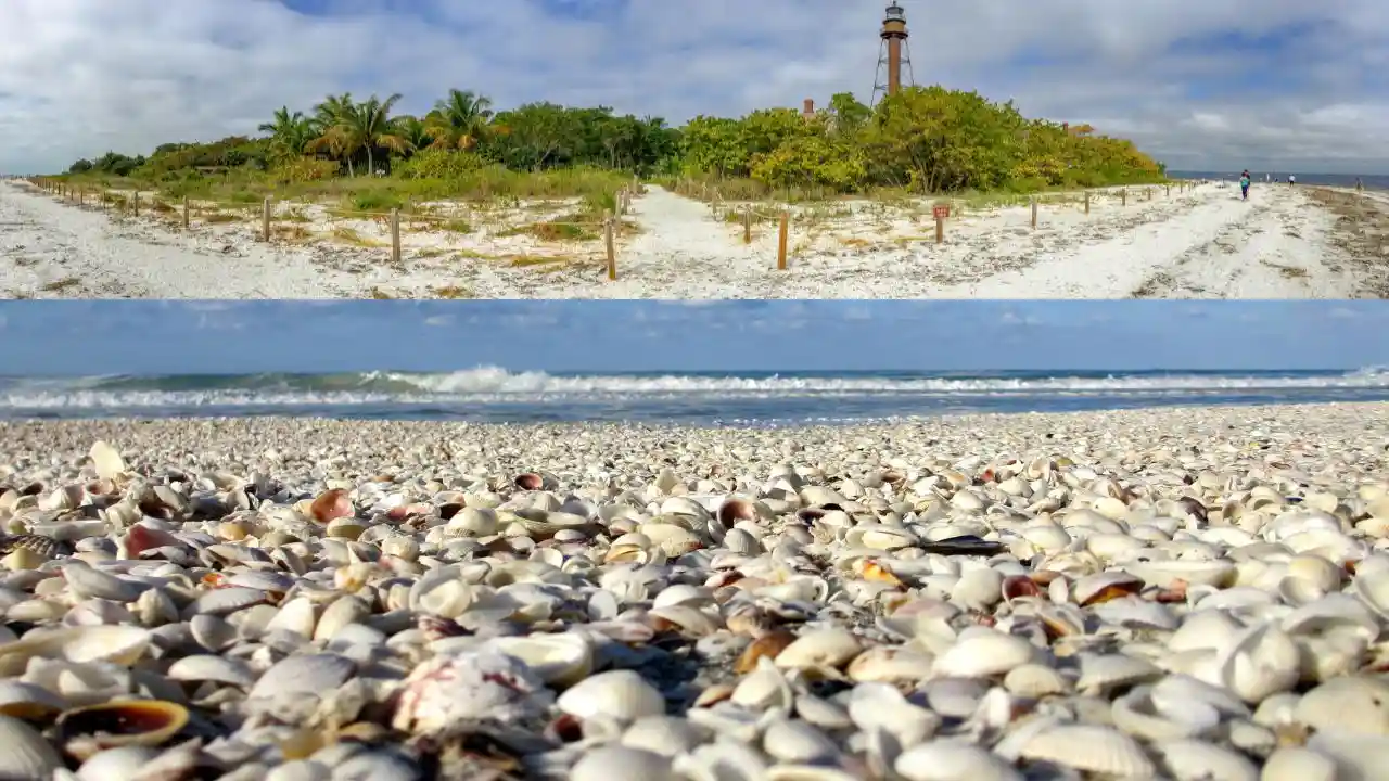 Sanibel Island (Bowman's Beach) - Glass Pebble Beach Florida USA