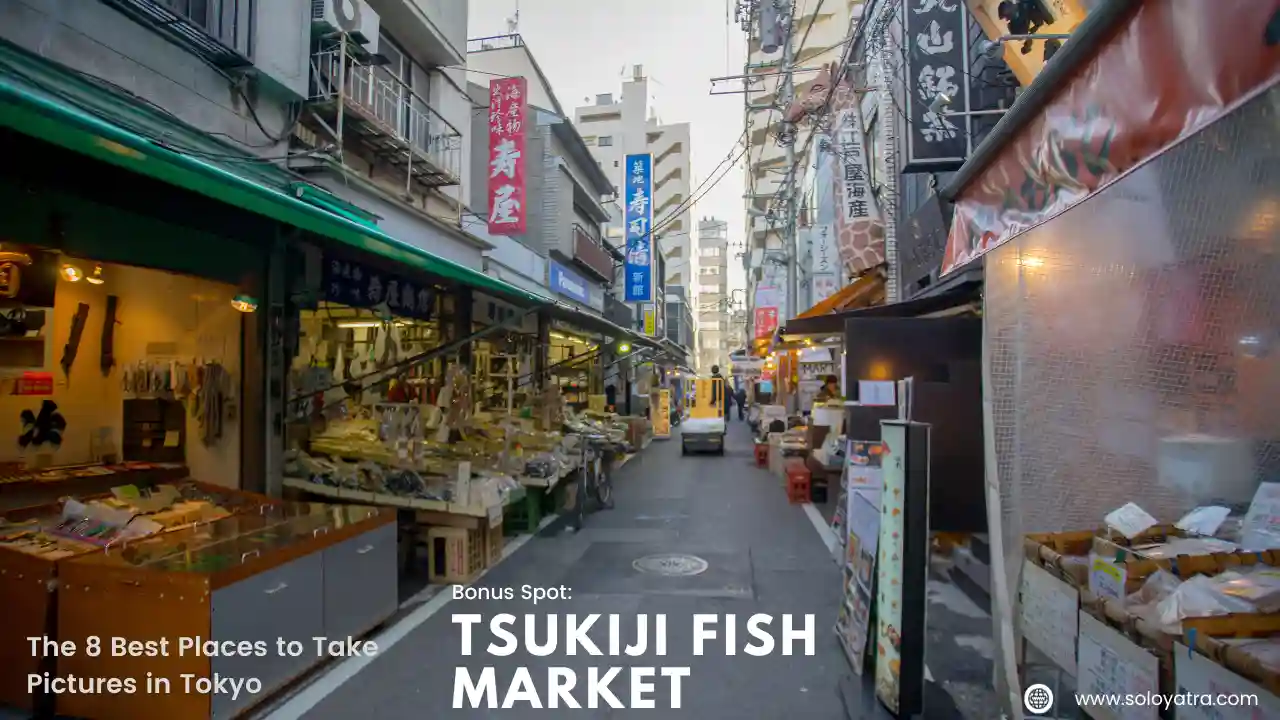 Tsukiji Fish Market - The 8 Best Places to Take Pictures in Tokyo