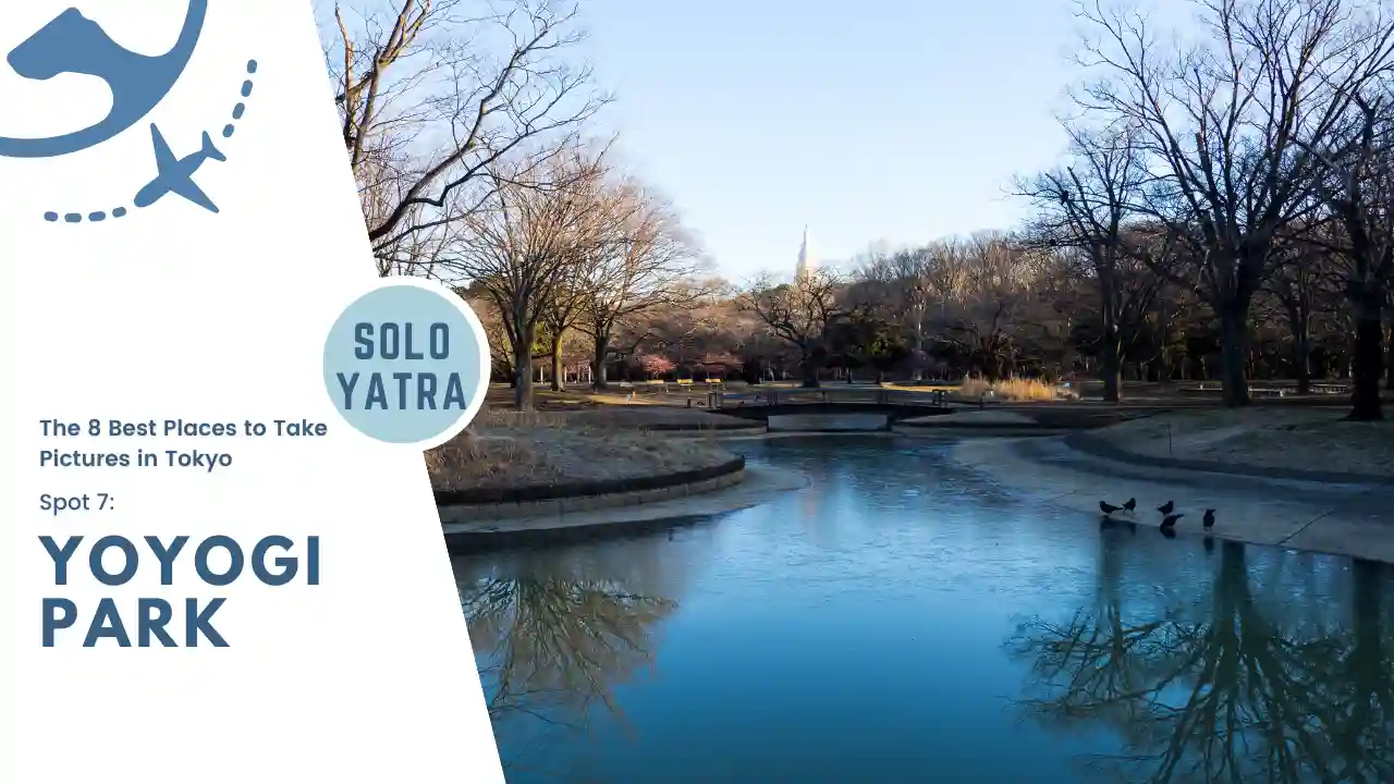 Yoyogi Park - The 8 Best Places to Take Pictures in Tokyo